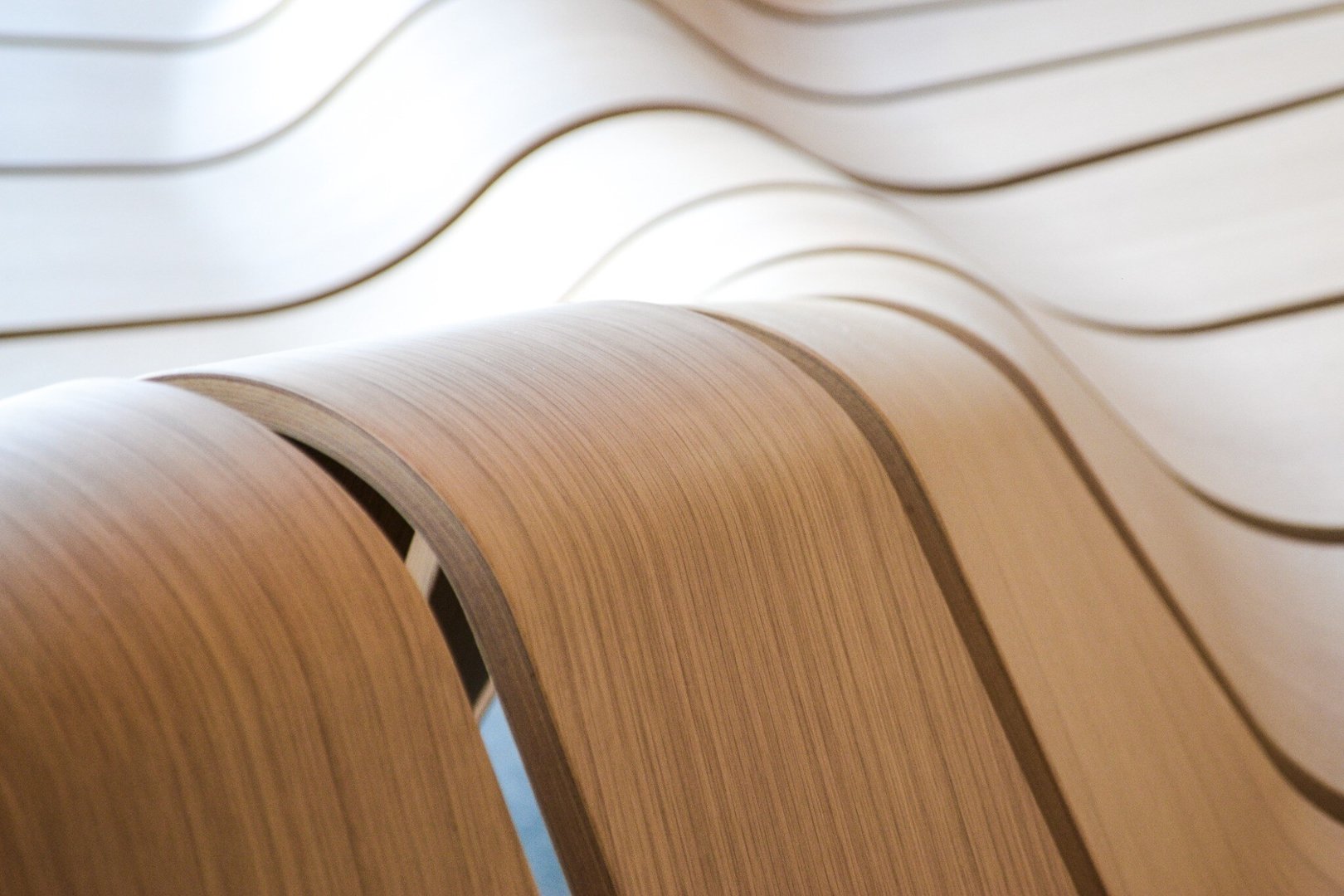 ascent-close-up-1