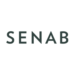 logo_senab