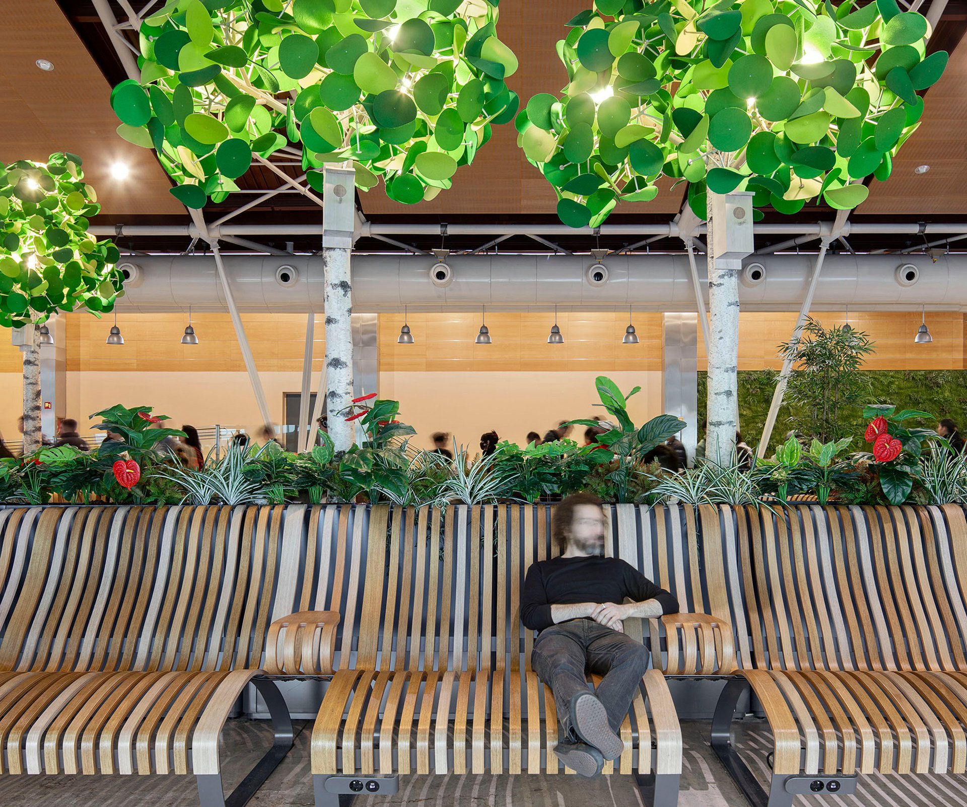 Nova C Lounge and Trees at Terminal 1 South Pier at Madrid airport